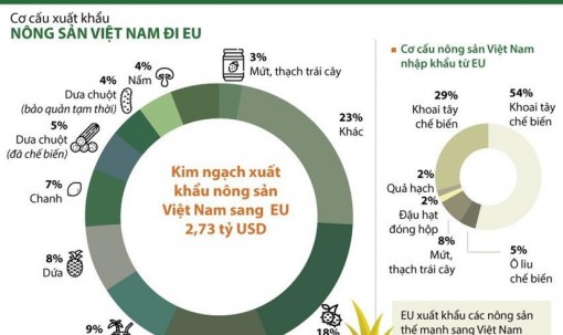 Thương mại hai chiều ngành rau quả Việt Nam-EU tăng trưởng cao