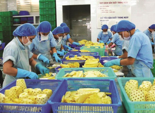 Khi doanh nghiệp ưu tiên dùng sản phẩm của nhau