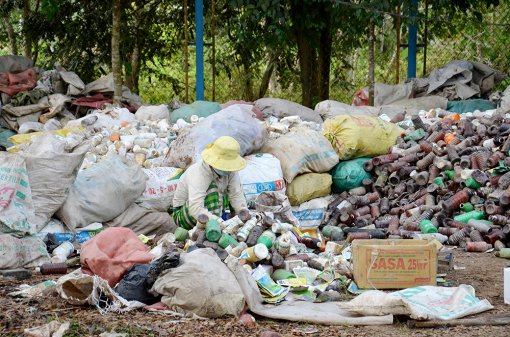 An Giang: Thu gom, xử lý bao gói thuốc bảo vệ thực vật sau sử dụng