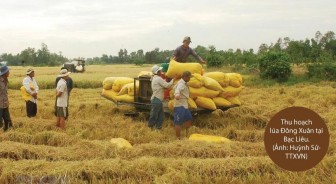 Thị trường xuất khẩu gạo của Việt Nam