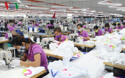 Hiệp định EVFTA và IPA: Tăng cường tương tác giữa khu vực công và tư