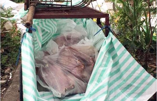 Long An có 33 hộ trên 6 huyện xuất hiện dịch tả heo Châu Phi