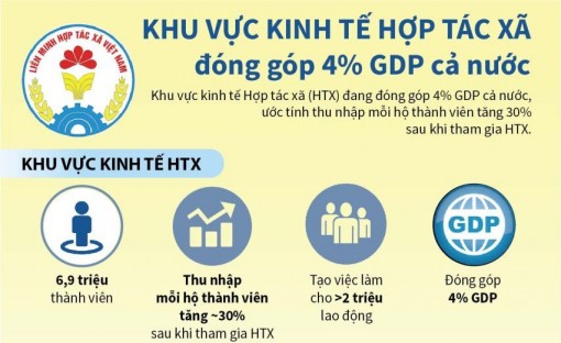 Khu vực kinh tế hợp tác xã đóng góp 4% GDP cả nước