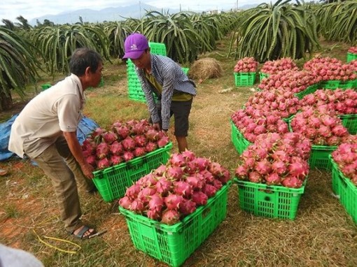Dự báo xuất khẩu năm 2019 đạt 9 tỷ USD
