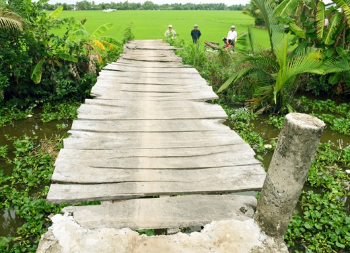 Bạc Liêu: Hàng chục hộ dân nhiều năm đi lại qua cầu ván tạm bợ