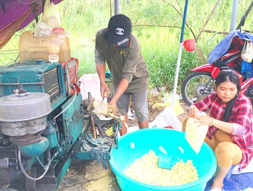 Vương vấn bánh ống quê