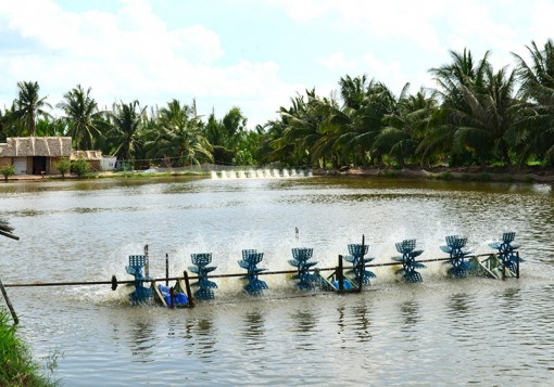 Trà Vinh tăng trưởng kinh tế cao nhất Đồng bằng sông Cửu Long