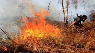 Cháy rừng và đất lan rộng tại nhiều khu vực trên toàn Indonesia