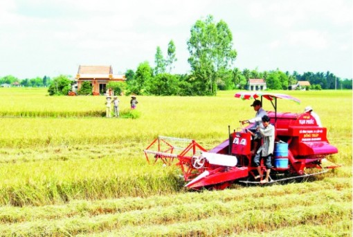 Ðẩy mạnh sản xuất nông nghiệp thích ứng biến đổi khí hậu