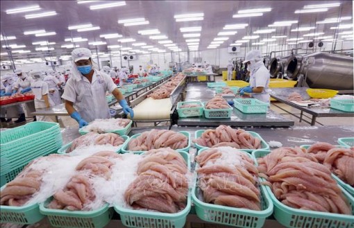 Cơ hội tăng cạnh tranh vào thị trường EU