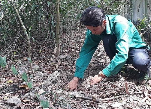 Không khởi tố vụ án Nhà máy xử lý rác thải TP Cà Mau phát hiện 300 xác thai nhi