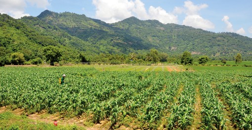 Mùa mưa ở Bảy Núi