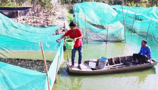 "Chắp cánh" cho thanh niên khởi nghiệp
