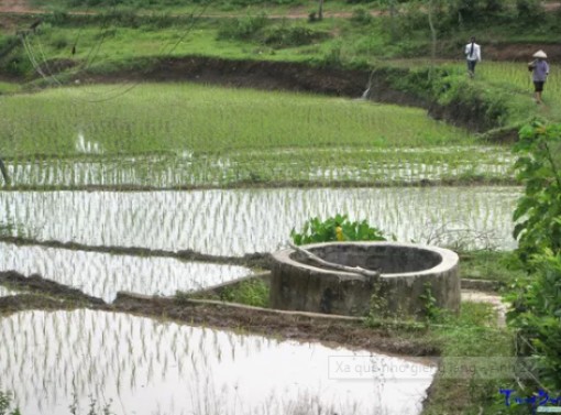 Xa quê nhớ giếng làng