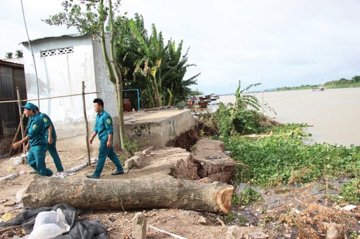 Sạt lở diễn biến phức tạp ở An Giang