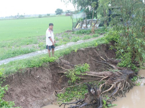 Bạc Liêu: Sống thấp thỏm bên dòng kênh sạt lở