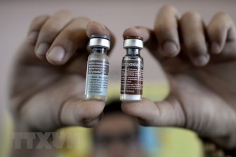 Nghiên cứu vắc-xin sốt xuất huyết tại Việt Nam đã hoàn tất