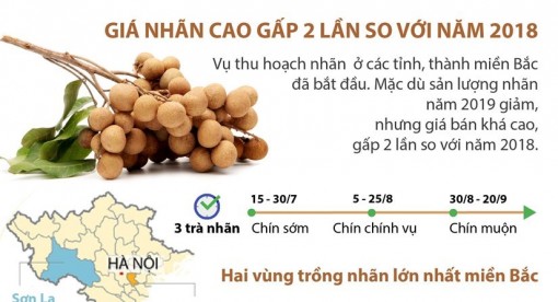 Giá nhãn cao gấp 2 lần so với năm 2018