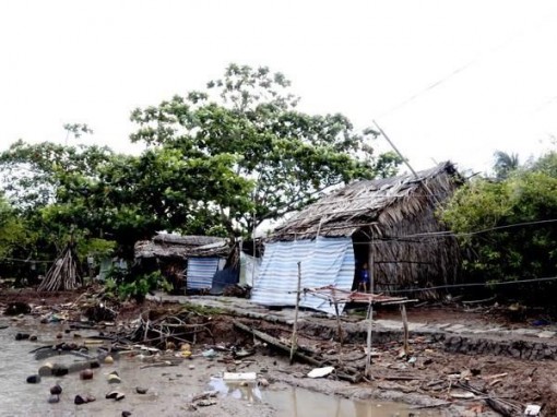 Biến đổi khí hậu 'bủa vây' vùng bán đảo Cà Mau: Sống nơi đầu sóng