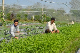 Nhiều mô hình sản xuất hiệu quả vùng biên giới