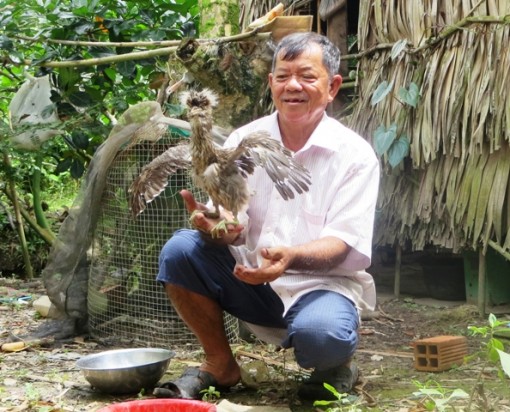 Tâm huyết bảo vệ đàn chim trời của lão nông Vĩnh Long