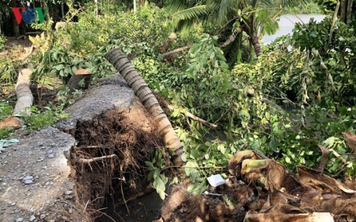 Hậu Giang có gần 40 điểm sạt lở đất ven sông