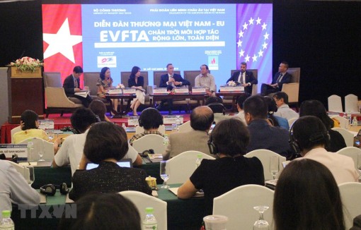 Thúc đẩy hợp tác thương mại-đầu tư giữa Việt Nam và EU
