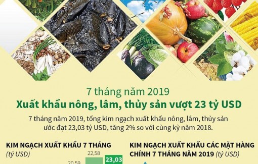 7 tháng: Xuất khẩu nông, lâm, thủy sản vượt 23 tỷ USD