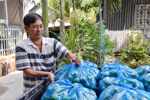 Nông dân xã Vĩnh Hanh thi đua sản xuất - kinh doanh giỏi