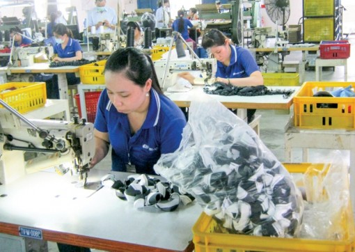 7 tháng, kim ngạch xuất khẩu của Cần Thơ đạt hơn 1 tỷ USD