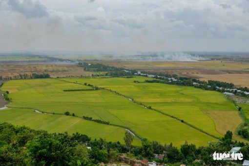 Mướt mắt với sắc màu vụ mùa ngắm từ đỉnh Núi Sam