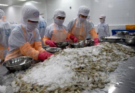 Xuất khẩu thủy sản 7 tháng giảm 1%