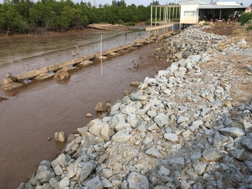 Cần một giải pháp căn cơ để bảo vệ các tuyến đê biển ở Cà Mau