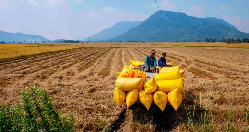 Nỗ lực tăng trưởng nông nghiệp