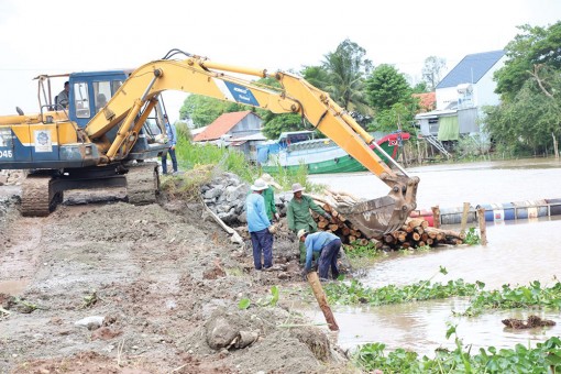 Chợ Mới nỗ lực khắc phục sạt lở