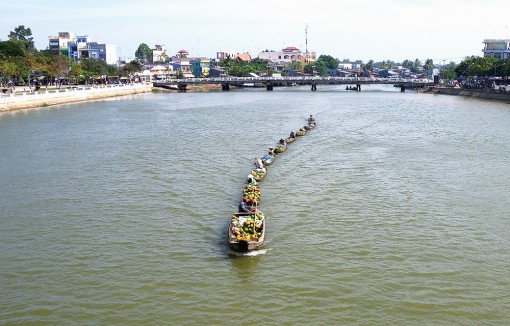 Đua xuồng giữa... phố thị