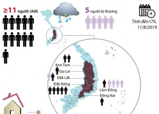 Thiệt hại nghiêm trọng do mưa, lũ tại Tây Nguyên, Nam Bộ