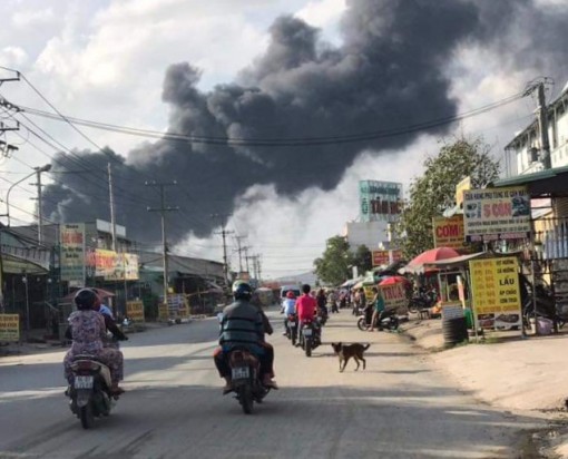 Long An: Cháy lớn tại công ty sản xuất hộp đựng cơm ở Đức Hòa