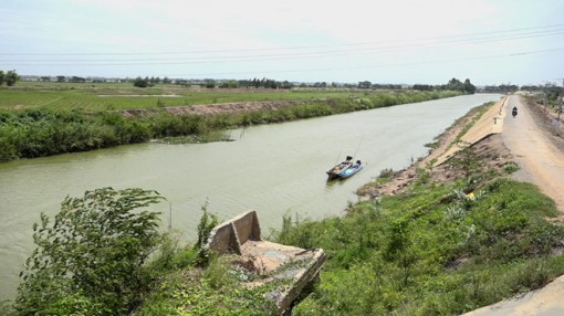 Người miền Tây lo mùa lũ... cạn: 'Lạ lùng nhất là giờ này chưa có cá linh'