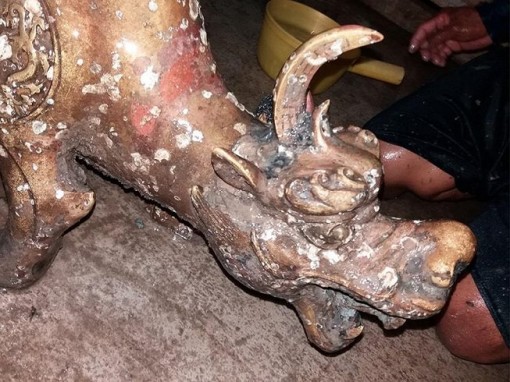 Chưa giám định tượng thú 2 đầu ở Cà Mau