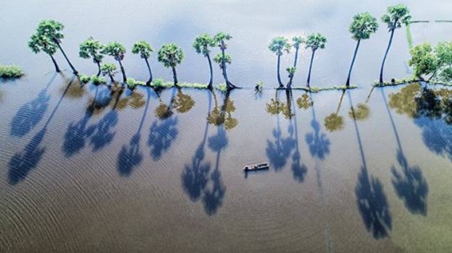 Thơ mộng mùa nước nổi