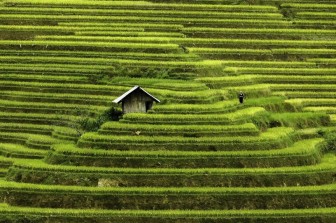 Việt Nam tuyệt đẹp qua ống kính nhiếp ảnh gia nước ngoài