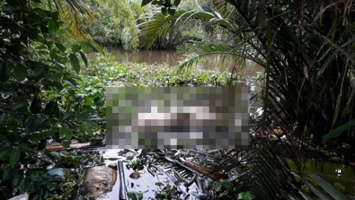 Bạc Liêu: UBND huyện Hồng Dân “ém” công bố bệnh dịch tả lợn Châu Phi