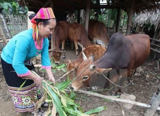 Phó Thủ tướng Vương Đình Huệ phát động nhắn tin ủng hộ người nghèo