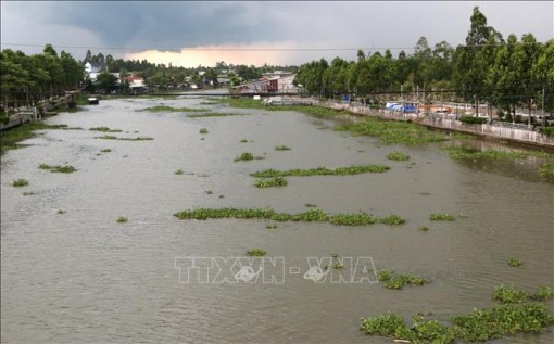 Nghiên cứu giải pháp tổng thể trữ nước tại Đồng bằng sông Cửu Long