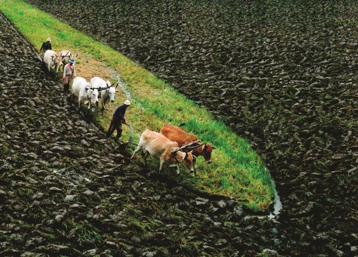 Người mê ảnh
