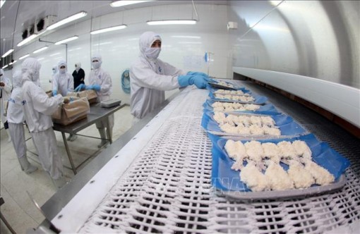 31 doanh nghiệp Việt Nam xuất khẩu tôm sang Mỹ hưởng mức thuế 0%