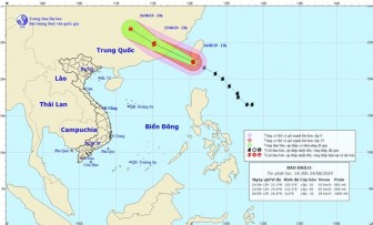 Các tỉnh, thành từ Quảng Ninh-Bình Định chủ động ứng phó với bão Bailu