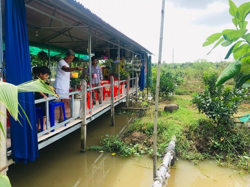 Trồng dâu tằm kết hợp dịch vụ du lịch