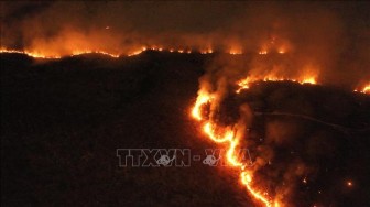 Hàng trăm đám cháy mới tại rừng mưa Amazon ở Brazil